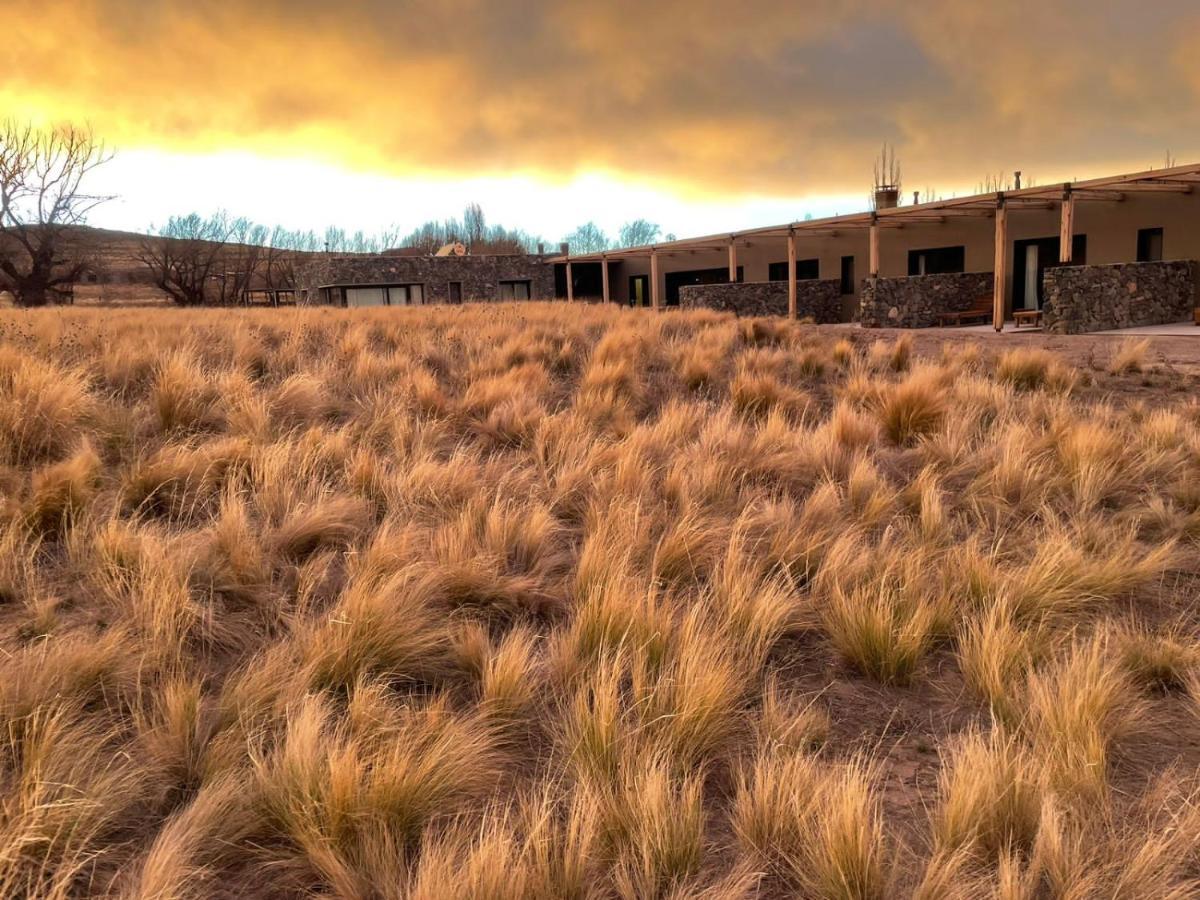 Rancho Adobe Eco Hotel 图蓬加托火山 外观 照片